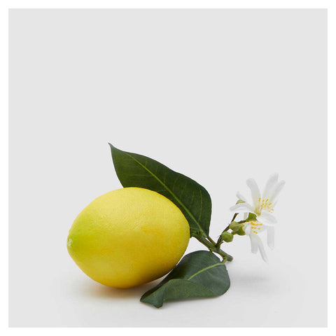 EDG Enzo de Gasperi Limone artificiale con fiori e foglie, frutta finta realistica per decorazioni D12 cm
