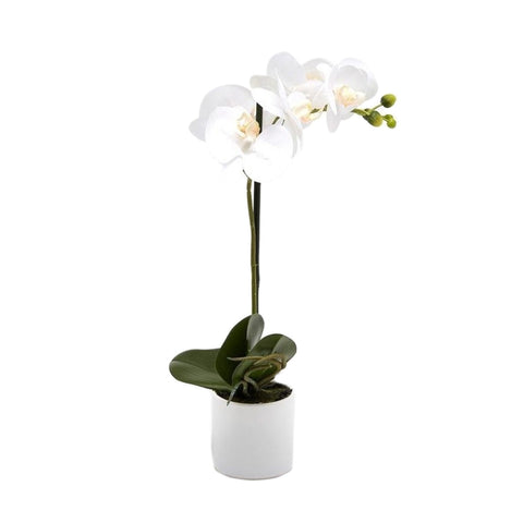 EDG Orchidea phalaenopsis con vaso pianta artificiale orchidea bianca H40 cm
