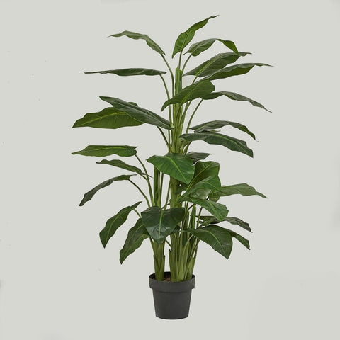EDG Enzo de Gasperi Pianta Calla 36 foglie con vaso da interno, pianta artificiale / finta verde da arredamento
