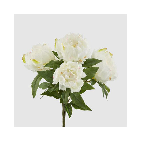 EDG Enzo De Gasperi Peonia bouquet mazzetto di fiori con 5 peonie bianco