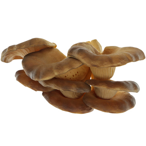 EDG Enzo de Gasperi Funghi artificiali per decorazioni 18 cm