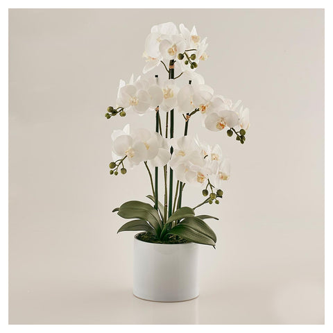 EDG Enzo de Gasperi Orchidea phalaenopsis con vaso da interno pianta, fiori artificiali per decorazioni 5 orchidee bianche H85 cm