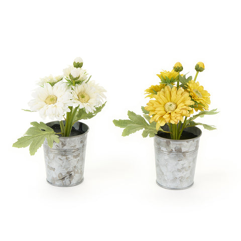 NUVOLE DI STOFFA Vaso Secchiello in metallo con gerbere fiori 2 varianti H22 cm