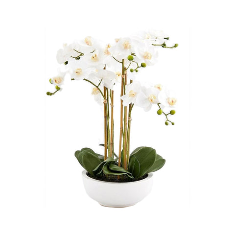 EDG Orchidea phalaenopsis con vaso pianta artificiale 6 orchidee bianca H64 cm