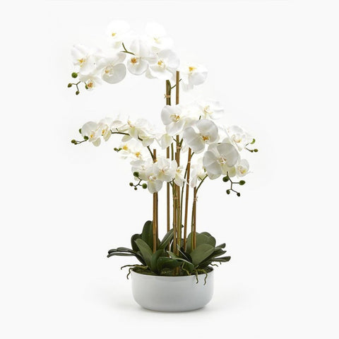 EDG Orchidea phalaenopsis con vaso pianta artificiale 7 orchidee bianca H84 cm