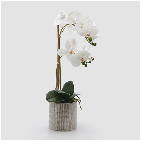 EDG Enzo De Gasperi Pianta artificiale Orchidea Phalaenopsis x2 bianco con vaso H51 cm - Angelica Home Stabia