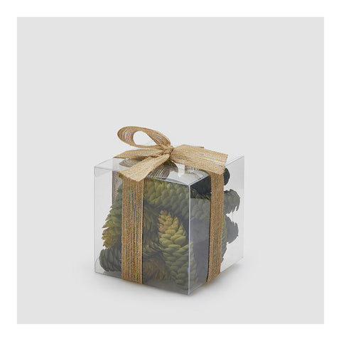 EDG Set 18 pigne per albero H8cm
