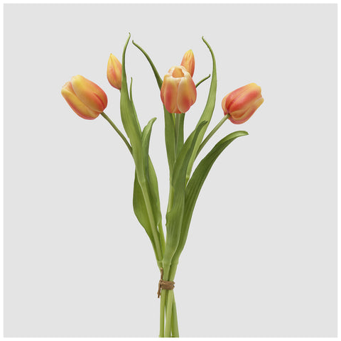 EDG Enzo de Gasperi Mazzo Tulipano(4) chiuso con foglie H40 cm 5 varianti(1 unità)