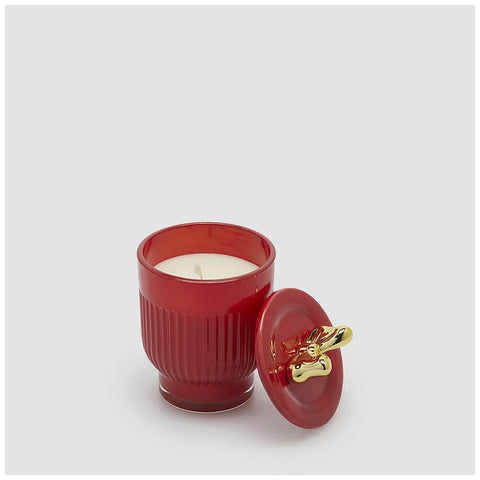 Bougie Bow EDG Enzo De Gasperi D7xH11 cm 3 variantes (1 unité)