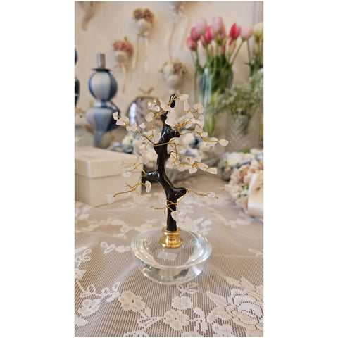 Chiaraela Pianta Bonsai con coralli "Fancy" H20 cm 4 varianti(1 unità)