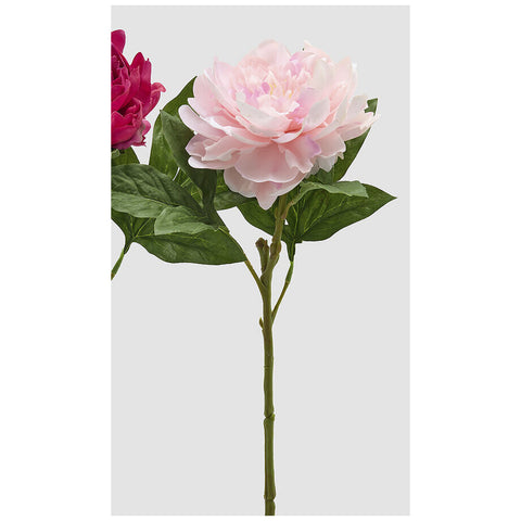 Edg Enzo De Gasperi Ramo Peonia artificiale con foglie H58 cm 2 varianti(1 unità)