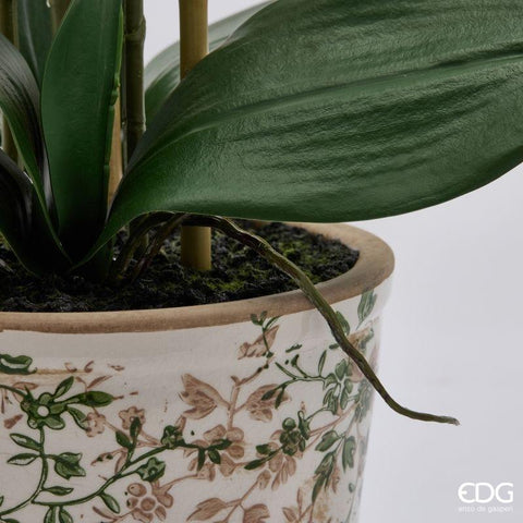 EDG Enzo De Gasperi Artificial Phalaenopsis Orchid Plant x3 White H65 cm