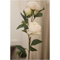 Fiori di Lena Ramo con 2 Peonie artificiali da decorazione 22xH73 cm 3 varianti (1 unità) - Angelica Home Stabia