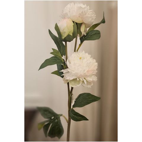 Fiori di Lena Ramo con 2 Peonie artificiali da decorazione 22xH73 cm 3 varianti (1 unità) - Angelica Home Stabia