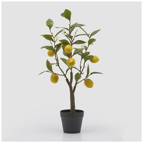 EDG Enzo De Gasperi Pianta artificiale Limone x6 finta con vaso H60 cm - Angelica Home Stabia