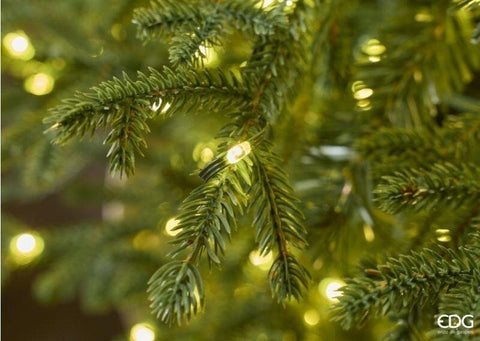 EDG Albero di natale pino Lucciole con 5000 luci led D182 - H270 cm