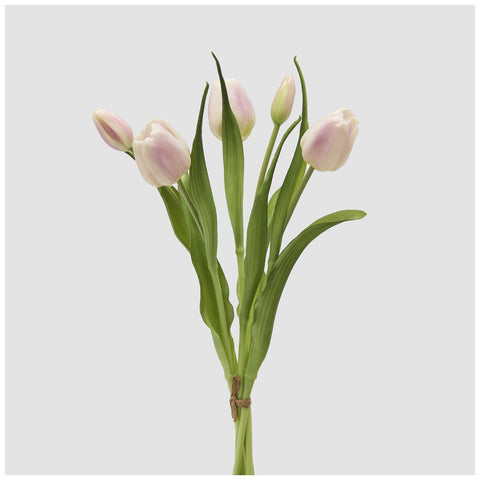 EDG Enzo de Gasperi Mazzo Tulipano(4) chiuso con foglie H40 cm 5 varianti(1 unità)