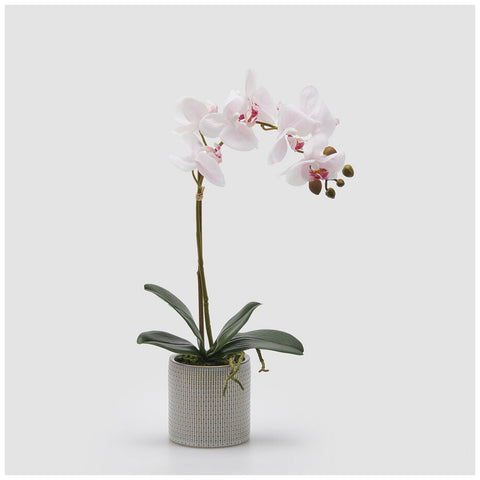 EDG Enzo De Gasperi Pianta artificiale Orchidea Phalaenopsis x2 rosa pallido + vaso H47 cm
