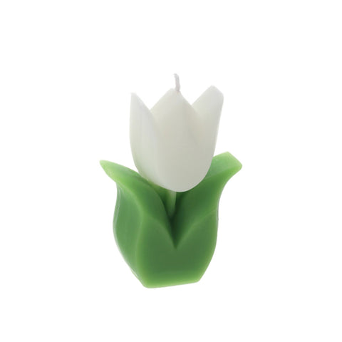 Hervit Candela Tulipano in cera 6x3x8.5 cm 4 varianti(1pz)