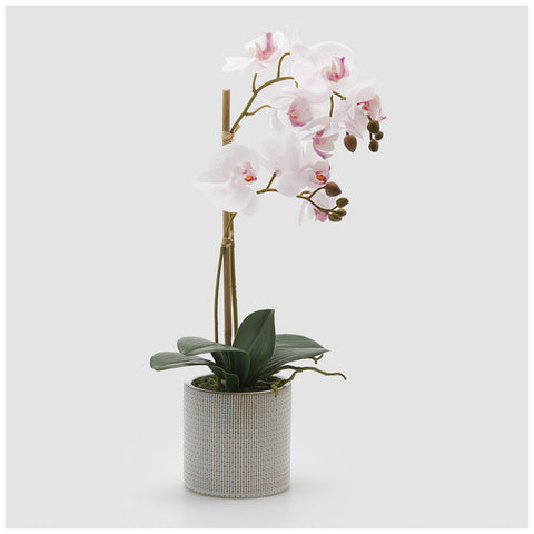 EDG Enzo De Gasperi Pianta artificiale Orchidea Phalaenopsis x2 rosa pallido con vaso H51 cm - Angelica Home Stabia