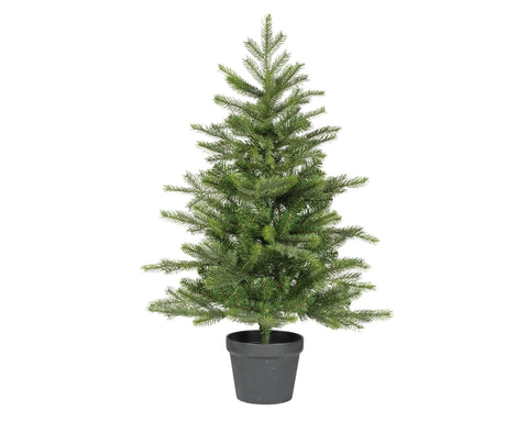 Mini albero da interno Grandis