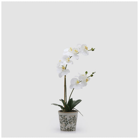 EDG Enzo De Gasperi Pianta artificiale Orchidea Phalaenopsis x2 bianca H60 cm