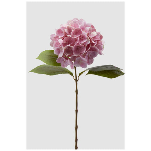 Branche d'hortensia noble EDG Enzo De Gasperi H60 cm 2 variantes (1 pièce)