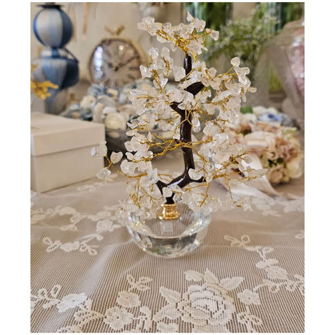 Chiaraela Pianta Bonsai con coralli "Fancy" H25 cm 4 varianti(1 unità)