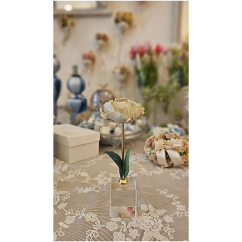 Chiaraela Pianta Peonia su cubo "Giardino" 5x5xH18 cm 5 varianti(1 unità)