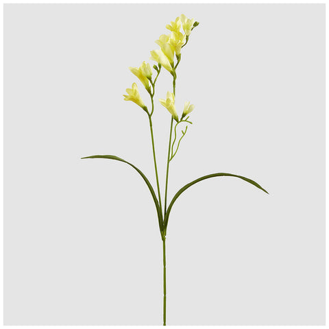 EDG Enzo de Gasperi Ramo fiore Fresia giallo artificiale H65 cm
