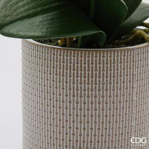 EDG Enzo De Gasperi Pianta artificiale Orchidea Phalaenopsis x2 bianco con vaso H51 cm - Angelica Home Stabia