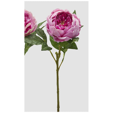 Edg Enzo De Gasperi Dark Pink Peony Artificial Branch H58 cm 2 variants (1 unit)