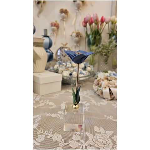 Chiaraela Pianta Papavero su cubo "Giardino" 5x5xH18 cm 4 varianti(1 unità)