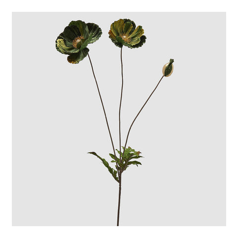 EDG Papavero velluto H80 cm 2 varianti (1 unità)