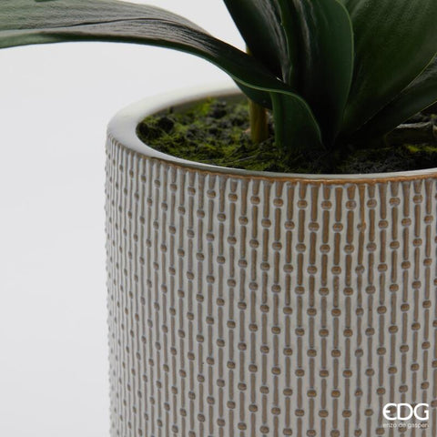 EDG Enzo De Gasperi Pianta artificiale Orchidea Phalaenopsis x2 rosa pallido con vaso H51 cm - Angelica Home Stabia