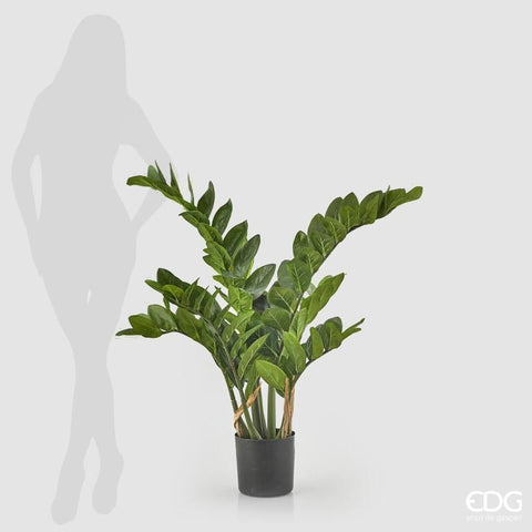 EDG Enzo De Gasperi Pianta artificiale Zamifolia x11 finta con vaso H110 cm - Angelica Home Stabia