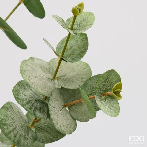 Edg Enzo De Gasperi Ramo Eucalipto verde artificiale H88 cm