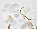 EDG Enzo De Gasperi Pianta artificiale Orchidea Phalaenopsis x2 bianco con vaso H47 cm - Angelica Home Stabia