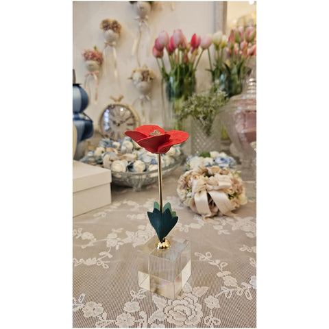 Chiaraela Pianta Papavero su cubo "Giardino" 5x5xH18 cm 4 varianti(1 unità)