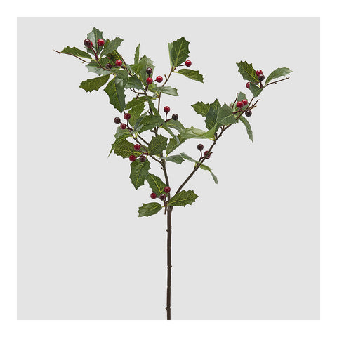 EDG - Enzo De Gasperi Ramo natalizio agrifoglio verde con bacche H77 cm