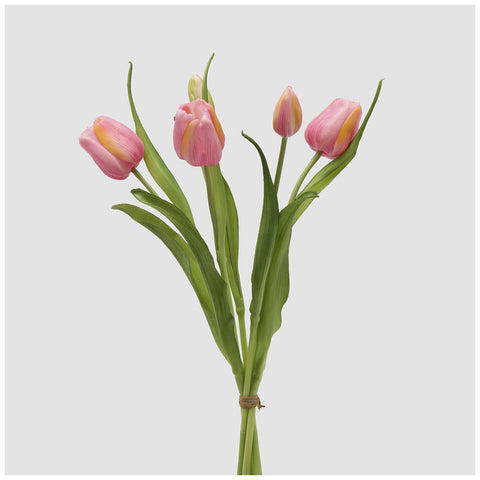 EDG Enzo de Gasperi Mazzo Tulipano(4) chiuso con foglie H40 cm 5 varianti(1 unità)