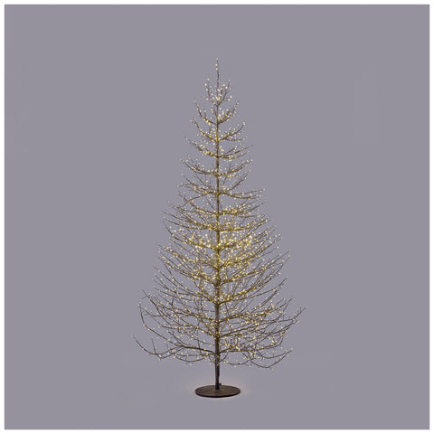 EDG Enzo De Gasperi Hêtre Riche Noir 2690 Micro LED Chaud H180xP115 cm