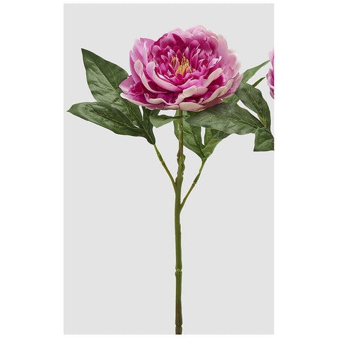 Edg Enzo De Gasperi Ramo Peonia artificiale rosa scuro H58 cm 2 varianti(1 unità)