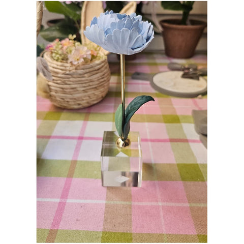 Chiaraela Pianta Peonia su cubo "Giardino" 5x5xH18 cm 5 varianti(1 unità)