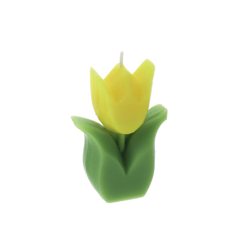 Hervit Candela Tulipano in cera 6x3x8.5 cm 4 varianti(1pz)