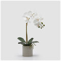 EDG Enzo De Gasperi Pianta artificiale Orchidea Phalaenopsis x2 bianco con vaso H47 cm - Angelica Home Stabia
