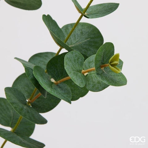 Edg Enzo De Gasperi Ramo Eucalipto verde scuro artificiale H88 cm
