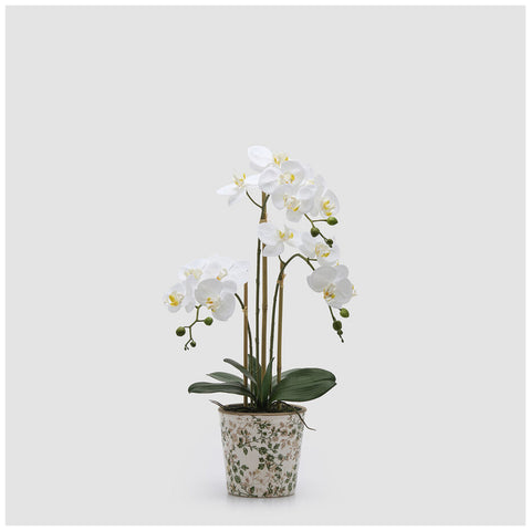 EDG Enzo De Gasperi Artificial Phalaenopsis Orchid Plant x3 White H65 cm