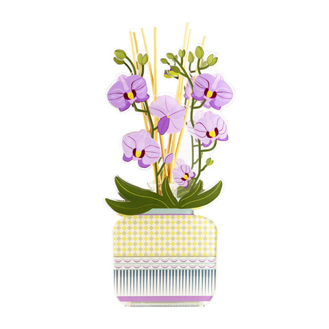 Vesta Profumatore per ambienti piccolo, Orchidea in cristallo acrilico 100 ml