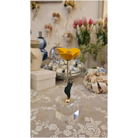 Chiaraela Pianta Papavero su cubo "Giardino" 5x5xH18 cm 4 varianti(1 unità)